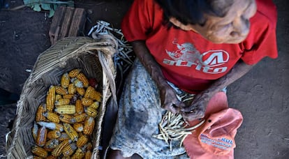 O desmatamento da Amazônia coloca em risco os povos que a habitam.