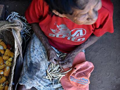 O desmatamento da Amazônia coloca em risco os povos que a habitam.