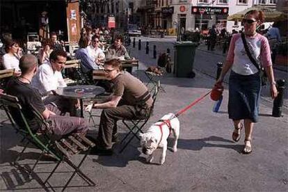 Bruselas es una ciudad bien equipada en cafés.