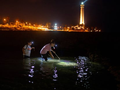 Los milenarios pescadores de mareas