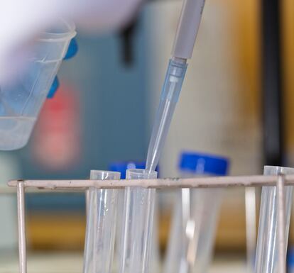 Investigación en un laboratorio de la Universidad de Alicante.