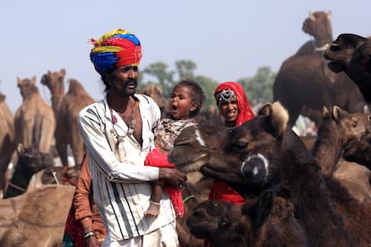 Famílias inteiras se deslocam para Pushkar durante os dias do festival