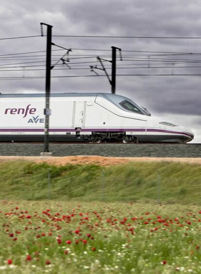 Tren AVE pasando delante de un campo de amapolas