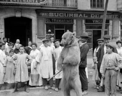 Ós ballant al carrer.