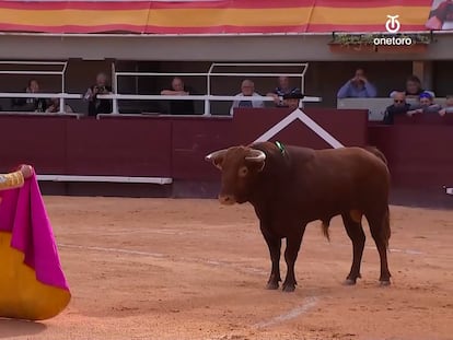 Marco Pérez, ante su primer novillo la tarde de su presentación con picadores.