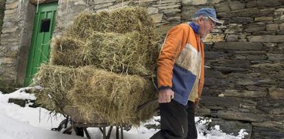 Un agricultor transporta forraje para animales en Noceda, en la sierra de O Courel.