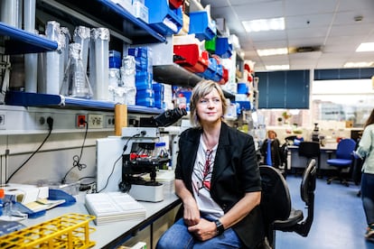 La bióloga Giovanna Roncador, en su laboratorio del Centro Nacional de Investigaciones Oncológicas, en Madrid.