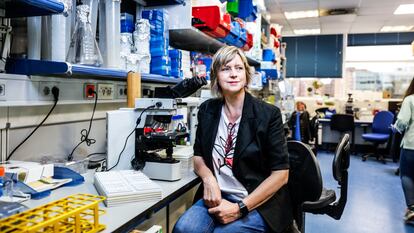 La bióloga Giovanna Roncador, en su laboratorio del Centro Nacional de Investigaciones Oncológicas, en Madrid.