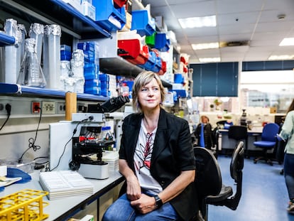La bióloga Giovanna Roncador, en su laboratorio del Centro Nacional de Investigaciones Oncológicas, en Madrid.