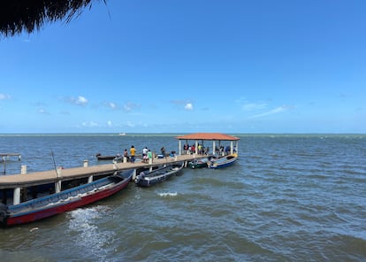 Un embarcadero en la selva de la Moskitia.