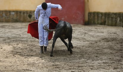 La 'arrucina', un toque de inspiración, poco habitual ante este encaste.