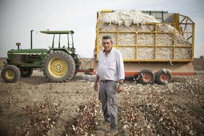 Fernando Sierra, trabajó en las campañas de recogida de algodón desde el año 1985 hasta el 1995. Comenzó a trabajar en la construcción y debido al poco empleo ha retomado este año su antiguo trabajo.