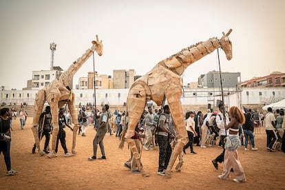 Marionetas de tamaño natural de jirafas, ñus, elefantes o gorilas hechas con cartón desfilaron por las calles del barrio de Ouakam en Dakar, una parada importante en su viaje desde el Congo hasta Noruega. “Dakar es una ciudad de transición, es la ciudad donde África conecta con el resto del mundo por su posición geoestratégica, así ha sido durante siglos” comenta el escenógrafo. La capital de Senegal también es una de las ciudades más amenazadas por el cambio climático.