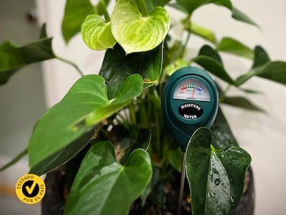 Mejores sensores de humedad para plantas