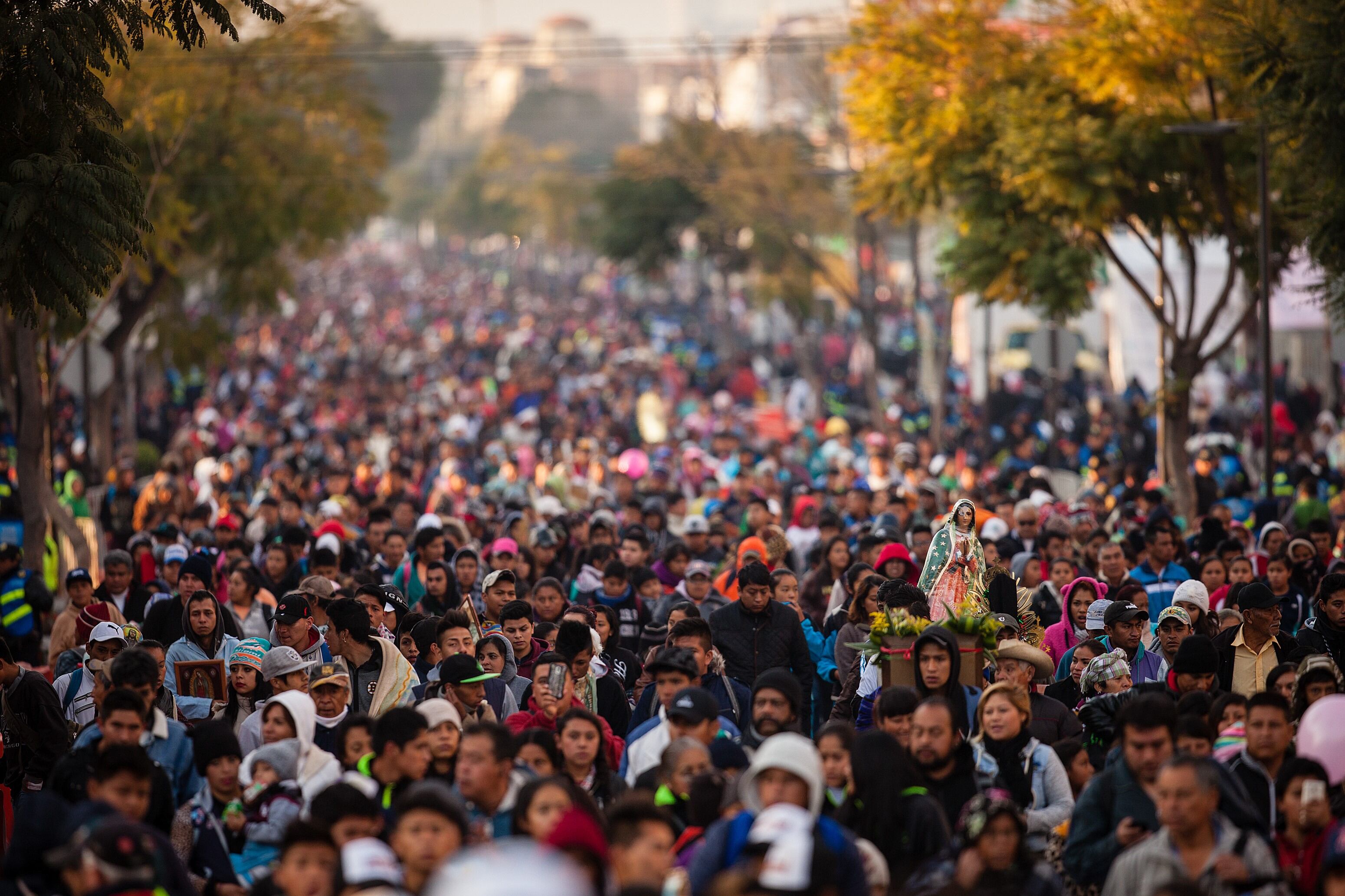 Miles de personas durante la peregrinación a la Basílica de Guadalupe en el Día de la Virgen de Guadalupe en la Ciudad de México, 