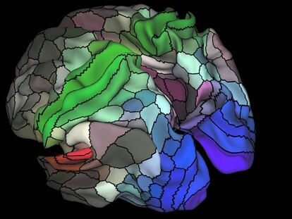 El mapa de 180 m&oacute;dulos, incluidas las &aacute;reas visuales (azul), auditivas (rojo), y t&aacute;ctiles/motoras (verde).
 
 
 
  