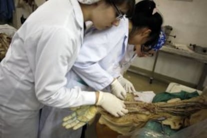 Estudiantes de medicina analizan un cadáver durante unas clases.