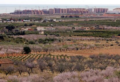 Terrenos destinados a la construcción del parque temático Mundo Ilusión, entre Oropesa y Cabanes (Castellón). El proyecto afecta a 18 millones de metros cuadrados, prevee construir 47.000 viviendas, zonas de ocio y campos de golf. Está adjudicado a Marina D'Or. Al fondo de la imagen, apartamentos en construcción de Marina D'Or. La imagen fue tomada en marzo de 2005.