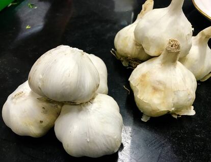AJO BLANCO CHINO (IZQUIERDA) Y AJO BLANCO TRADICIONAL (DERECHA) / CAPEL