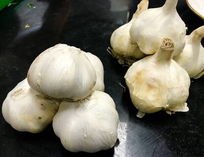 AJO BLANCO CHINO (IZQUIERDA) Y AJO BLANCO TRADICIONAL (DERECHA) / CAPEL 