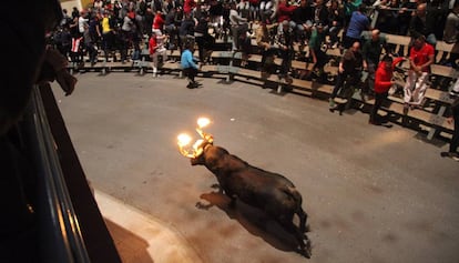 Un toro embolat a Alcanar.