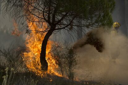 Un miembro del Infoca trabaja en la zona del incendio. 