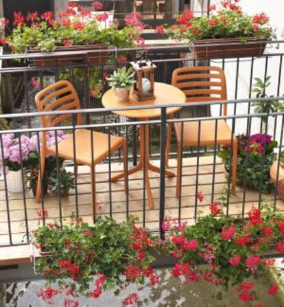 La gitanilla se emplea como planta colgante en balcones y terrazas.