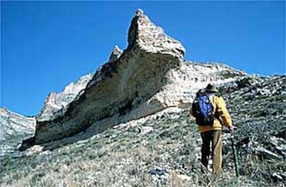 Un excursionista contempla una de las extrañas formaciones calizas del Barranco de Borbocid.