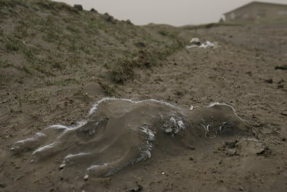 Los animales también han sufrido las consecuencias de la nube de ceniza que ha obligado a cancelar este martes unos 500 vuelos, la mayoría con salida o destino Escocia, según France Presse.