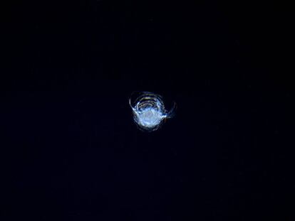 Impacto en la c&uacute;pula de cristal de la Estaci&oacute;n Espacial Internacional el pasado d&iacute;a 12. Es de 7 cent&iacute;metros.