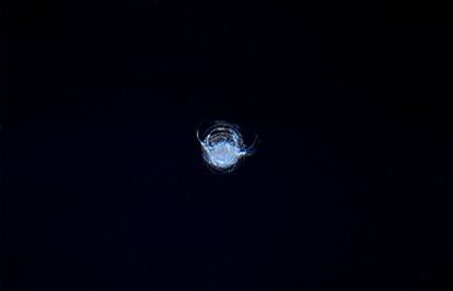 Impacto en la c&uacute;pula de cristal de la Estaci&oacute;n Espacial Internacional el pasado d&iacute;a 12. Es de 7 cent&iacute;metros.
