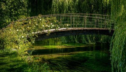 Monet pintó este puente japonés al menos 15 veces para “capturarlo bajo distintas luces”.