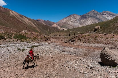 La cordillera de los Andes en la provincia de Mendoza, Argentina.