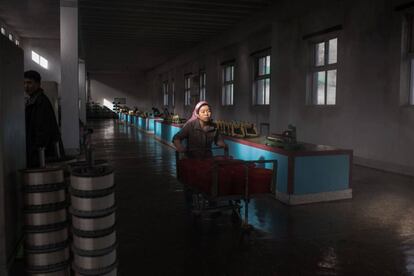 Una trabajadora de una fábrica de gusanos de seda en Corea del Norte.