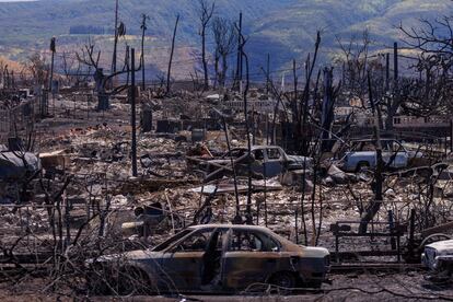 Biden incendios Hawái