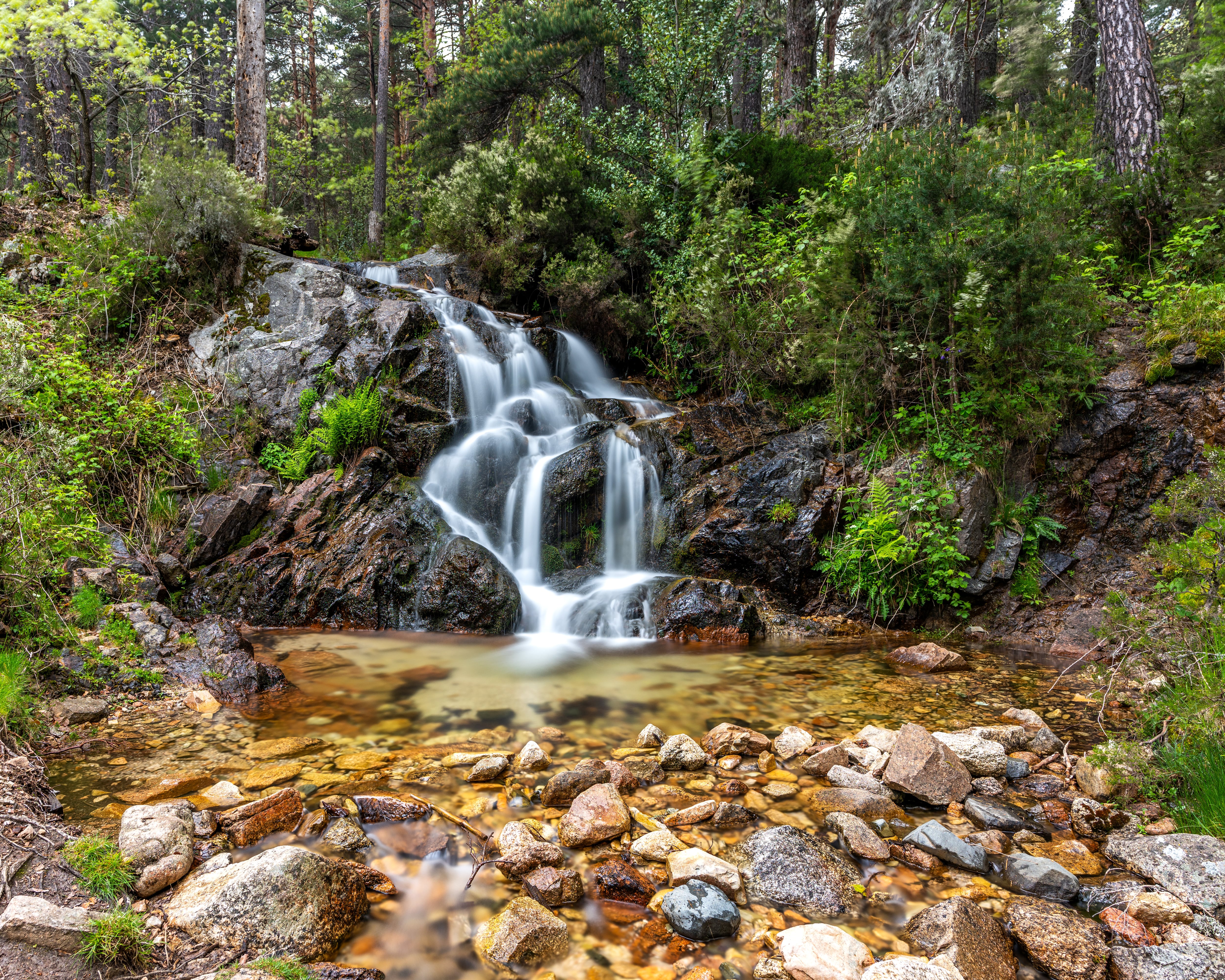Uno de los paisajes en Cercedilla, Madrid.