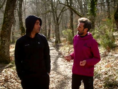 ¿Te has preguntado quién cuida de nuestros árboles?