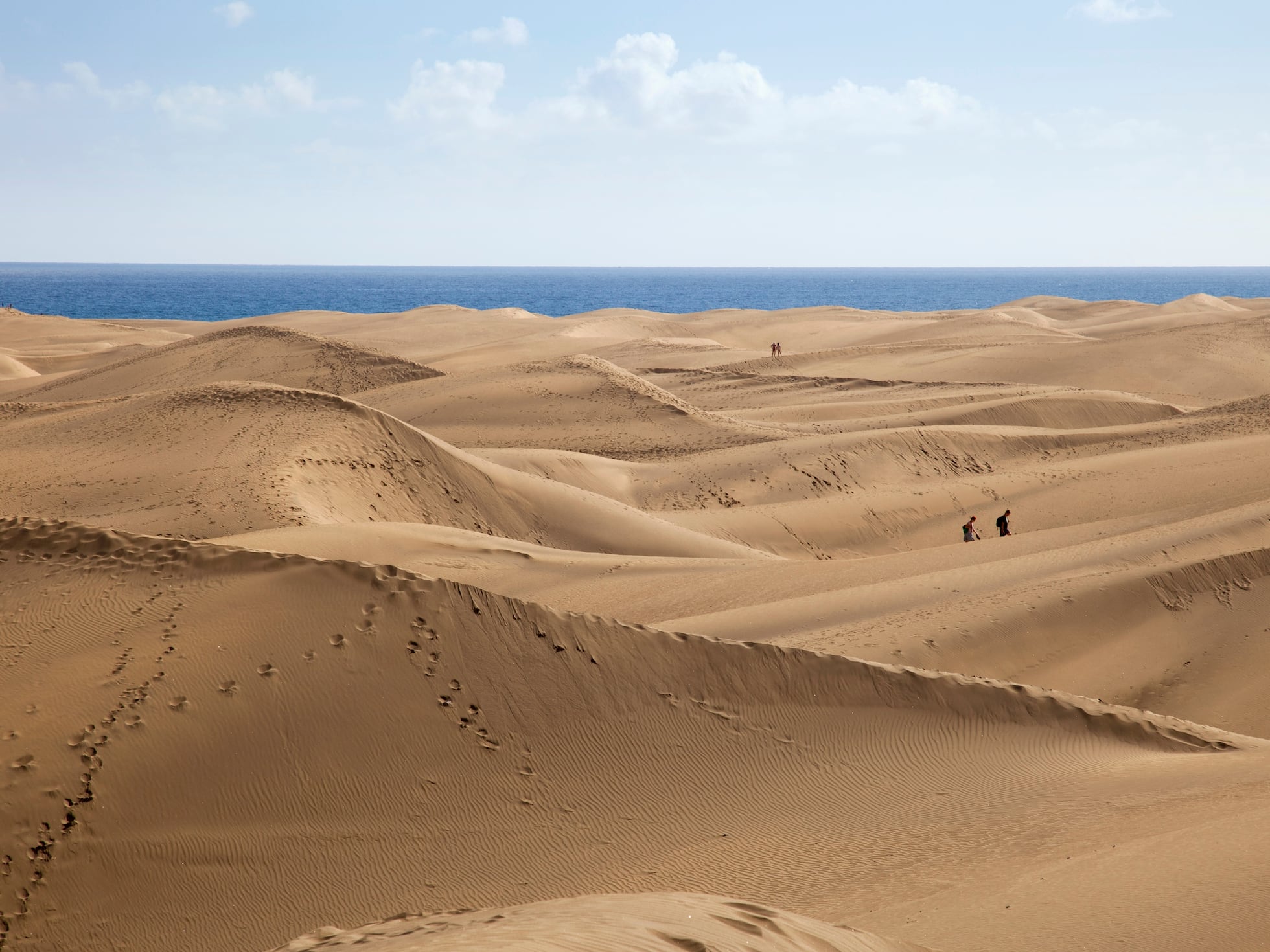 Asalto viral a las dunas protegidas de Maspalomas en busca de un