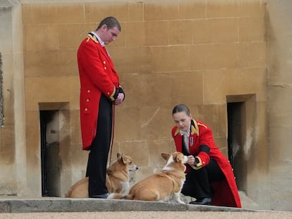 Los perros corgis de la Reina, la araña del féretro y otras anécdotas del funeral de Isabel II