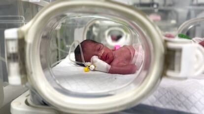 Alma, la bebé gazatí que nació huérfana por un ataque israelí, en una incubadora en un hospital de Rafah.