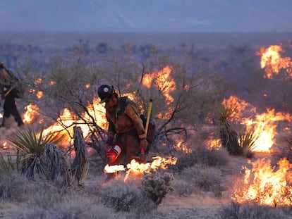 Bombero combatiendo el incendio de York el cual ha arrasado más de 30.000 hectáreas de la Reserva Nacional Mojave.