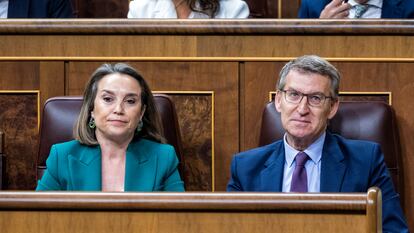 La secretaria general del PP, Cuca Gamarra, y el líder del partido, Alberto Núñez Feijóo, durante la sesión de control al Gobierno en el Congreso del miércoles.