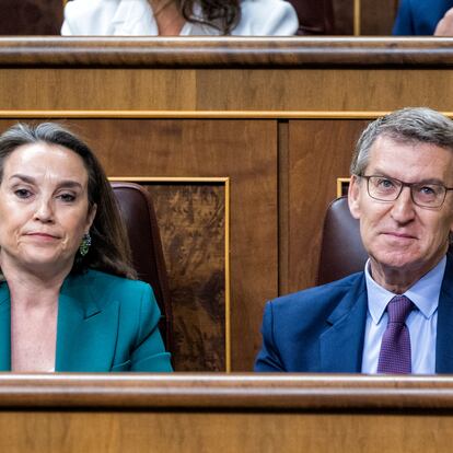 La secretaria general del PP, Cuca Gamarra, y el líder del partido, Alberto Núñez Feijóo, durante la sesión de control al Gobierno en el Congreso del miércoles.