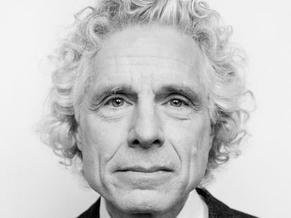  Steven Pinker, catedrático de Harvard, en una imagen de archivo de 2019.  En vídeo, su entrevista.  