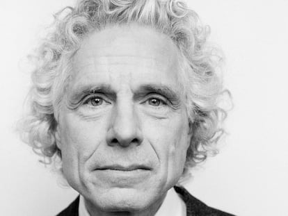  Steven Pinker, catedrático de Harvard, en una imagen de archivo de 2019.  En vídeo, su entrevista.  