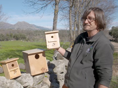 En vídeo, Luis Martínez, biólogo y técnico de la Sociedad Española de Ornitología (SEO), explica la importancia de las cajas nido y cómo colocarlas.