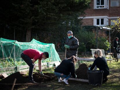 Usuarios del CAS trabajan en el huerto del barrio de Sarriá. 