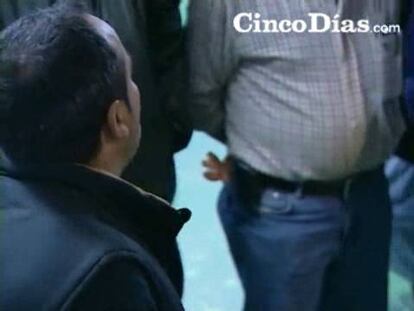 La gran captura de centollos abarata los precios en lonja