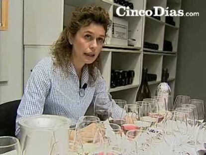 Ocho 'sumillers' ponen a prueba los vinos más conocidos