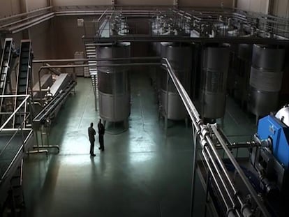 Damos cuerda: Bodegas Avelino Vegas